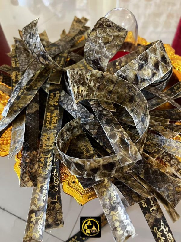 🐉神秘力量召喚財富與魅力｜蛇皮符管 - Image 4