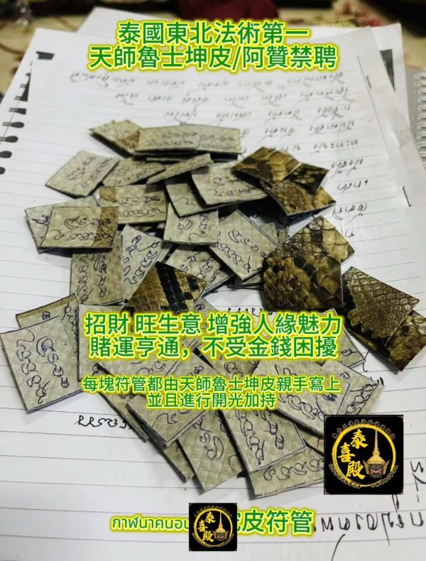 🐉神秘力量召喚財富與魅力｜蛇皮符管 - Image 5